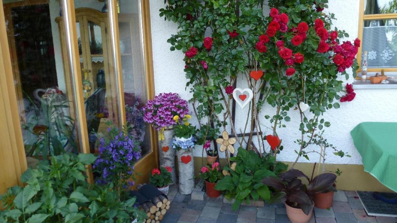 Ferienwohnung Fernblick Freyung Eksteriør billede
